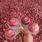 WhatsApp Image 2026-02-06 at 4.40.37 PM