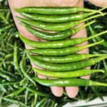 WhatsApp Image 2026-02-06 at 4.41.22 PM