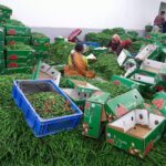 WhatsApp Image 2026-02-06 at 4.57.53 PM