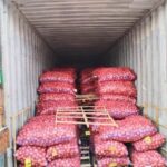 WhatsApp Image 2026-02-06 at 5.00.04 PM