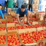 WhatsApp Image 2026-02-06 at 5.01.29 PM