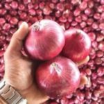 WhatsApp Image 2026-02-06 at 5.05.49 PM