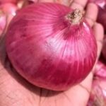 WhatsApp Image 2026-02-06 at 5.06.14 PM