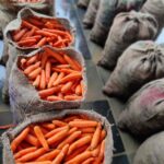 WhatsApp Image 2026-02-06 at 5.09.47 PM